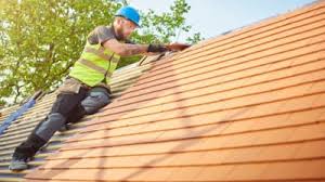 Best Asphalt Shingles Roofing  in Chinook, MT